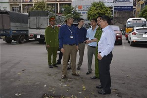 Hạ Long: đồng loạt ra quân lặp lại trật tự văn minh đô thị