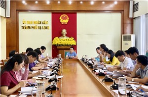 Thống nhất thể lệ cuộc thi “Tuyến đường thôn kiểu mẫu tiêu biểu TP Hạ Long” năm 2020