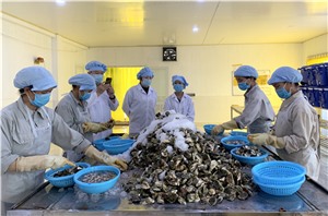 Đẩy mạnh phát triển sản phẩm OCop Hạ Long