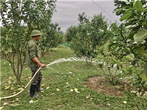Gương Nông dân sản xuất kinh doanh giỏi tại xã Quảng La