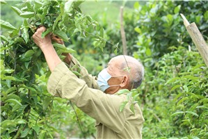 Người uy tín xã Dân Chủ góp sức xây dựng quê hương