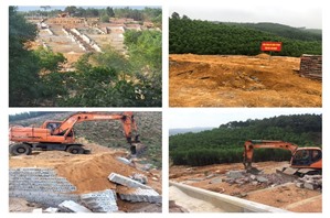 TP Hạ Long: Không có "vùng cấm" trong xử lý vi phạm về đất đai, trật tự xây dựng đô thị