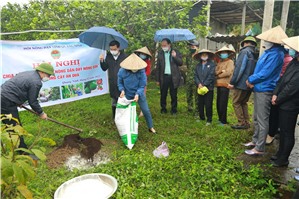 Hội nông dân tuyên truyền, hướng dẫn kỹ thuật trồng cây ăn quả