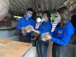 Nhân rộng các mô hình thanh niên làm kinh tế giỏi