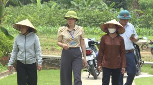 Hạ Long hoàn thiện các tiêu chí khó để về đích nông thôn mới