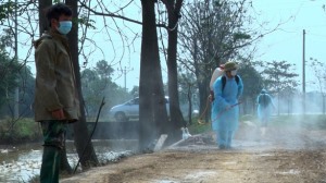 Bộ NN&PTNT ra công điện khẩn phòng chống cúm gia cầm lây sang người 