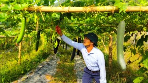 Xã Hòa Bình đẩy mạnh phát triển kinh tế, nâng cao thu nhập cho người dân