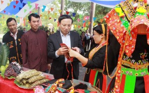 Lãnh đạo tỉnh, đại biểu Quốc hội tỉnh, lãnh đạo thành phố dự Ngày hội đoàn kết các dân tộc tại các địa phương
