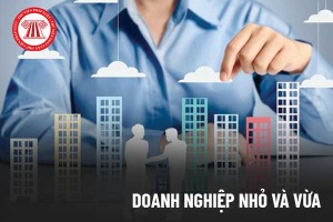 Doanh nghiệp nhỏ và vừa theo quy định pháp luật