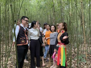 Chú trọng nâng cao chất lượng nguồn nhân lực ngành du lịch