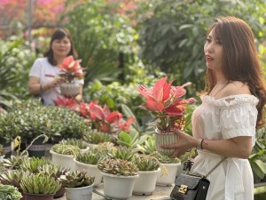 Du lịch canh nông hướng đi mới của nhiều hội viên hội nông dân Thành phố