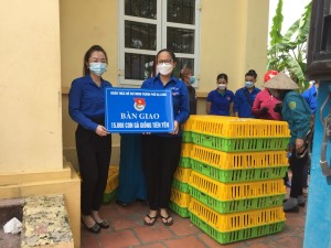 Bàn giao trên 5.000 con gà giống Tiên Yên cho đoàn viên thanh niên phát triển kinh tế