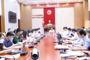 Hội đồng nhân dân Thành phố giám sát một số nội dung của UBND Thành phố