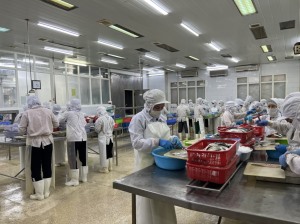 Không ngừng chăm lo đời sống cho công nhân lao động