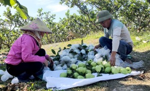 Xây dựng nông thôn mới: Chuyển động ở những tiêu chí “không mất tiền” 