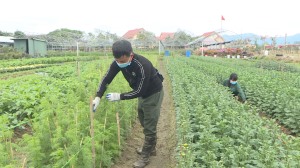 Sức sống NTM Lê Lợi