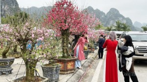 Nhộn nhịp chợ hoa Tết