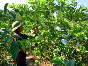 Kết quả xây dựng nông thôn mới cần sự đánh giá của người dân