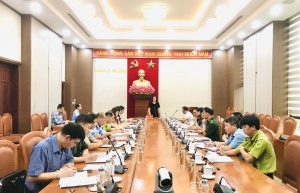 Giao ban công tác nội chính 9 tháng, triển khai nhiệm vụ 3 tháng năm 2022