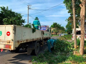 Bảo đảm an toàn cây xanh mùa mưa bão