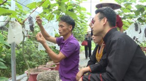 TP Hạ Long: Huy động sức dân xây dựng NTM 
