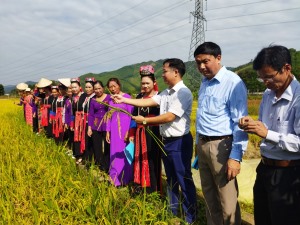 Tổng kết lớp huấn luyện nông dân nòng cốt về quản lý dịch hại tổng hợp trên cây lúa 