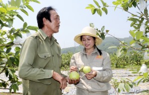Chắp cánh cho sản phẩm OCOP