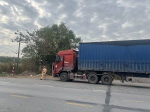 Tăng cường kiểm soát, không để việc vận chuyển, kinh doanh dăm gỗ ảnh hưởng mô trường
