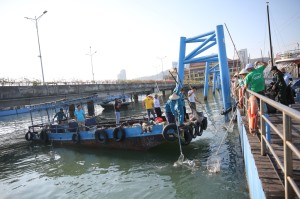 Gìn giữ môi trường di sản Vịnh Hạ Long
