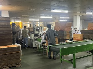 Doanh nghiệp Hạ Long đồng hành cùng sự phát triển của Thành phố