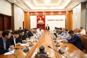 Hạ Long: Không để việc vận chuyển, kinh doanh dăm gỗ gây ảnh hưởng môi trường
