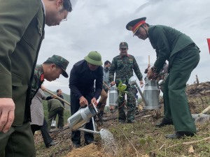 Hạ Long: Nhân rộng phong trào trồng cây, trồng rừng