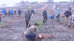 Công ty cổ phần Than Núi Béo - Vinacomin phát động Tết trồng cây đầu xuân 2023