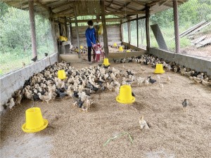 Thanh niên Hạ Long: thi đua lập thân, lập nghiệp, làm giàu chính đáng 