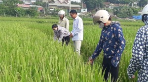 Người Bí thư Chi bộ tận tâm, gương mẫu, trách nhiệm