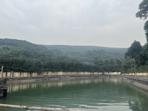Ngành Than: Gắn sản xuất với Bảo vệ môi trường, phát triển bền vững
