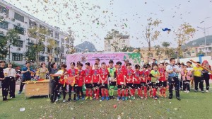Sôi nổi Hội khoẻ Phù Đổng Trường tiểu học Trần Quốc Toản