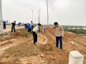 TP Hạ Long: Trồng hơn 1.000 cây xanh dọc tuyến đường nối từ Quốc lộ 279 đến Tỉnh lộ 342 