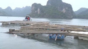 TP. Hạ Long tổ chức cưỡng chế vi phạm và thu gom phao xốp trôi nổi trên vịnh Hạ Long