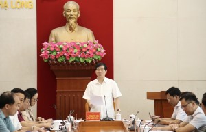 Thành uỷ Hạ Long: Thực hiện quy trình  kiện toàn, bổ sung Uỷ viên BTV Thành uỷ