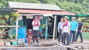 Ngày 1/8, TP Hạ Long ra quân làm vệ sinh môi trường biển và sắp xếp lại tàu bè trên Vịnh