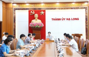 Giao ban Thường trực Thành ủy: Cho ý kiến vào một số nội dung quan trọng