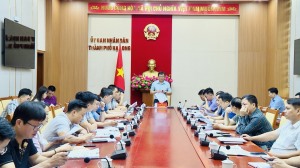 Họp công tác triển khai thực hiện trồng rừng gỗ lớn 