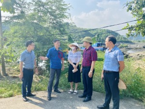 TP Hạ Long: Kiểm tra cấp ủy, người đứng đầu cấp ủy trong công tác quản lý đất đai, tài nguyên, khoáng sản, đầu tư công