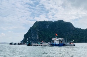 TP Hạ Long: 35/42 hộ NTTS trái phép trên Vịnh đã hoàn thành việc di dời, tháo dỡ
