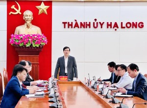 Thường trực Thành ủy giao ban công tác 