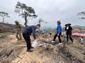 Phường Hoành Bồ phát động “Tết trồng cây – Đời đời nhớ ơn Bác Hồ”