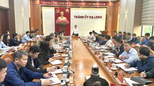 Triển khai các dự án đầu tư trọng điểm, động lực trên địa bàn TP