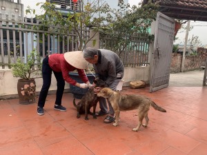 Hạ Long chủ động phòng chống dịch bệnh dại