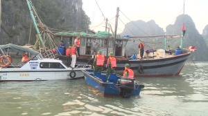 Bắt giữ tàu cá khai thác thủy sản trái phép
